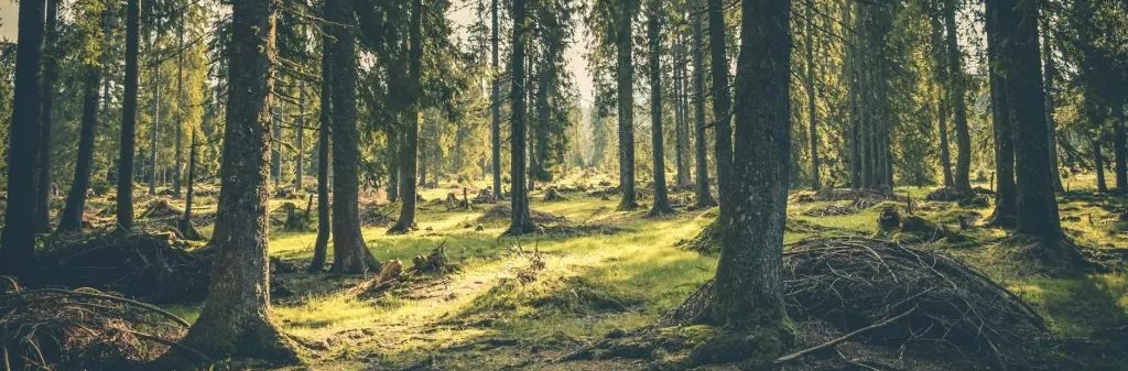 Why we started a software performance company