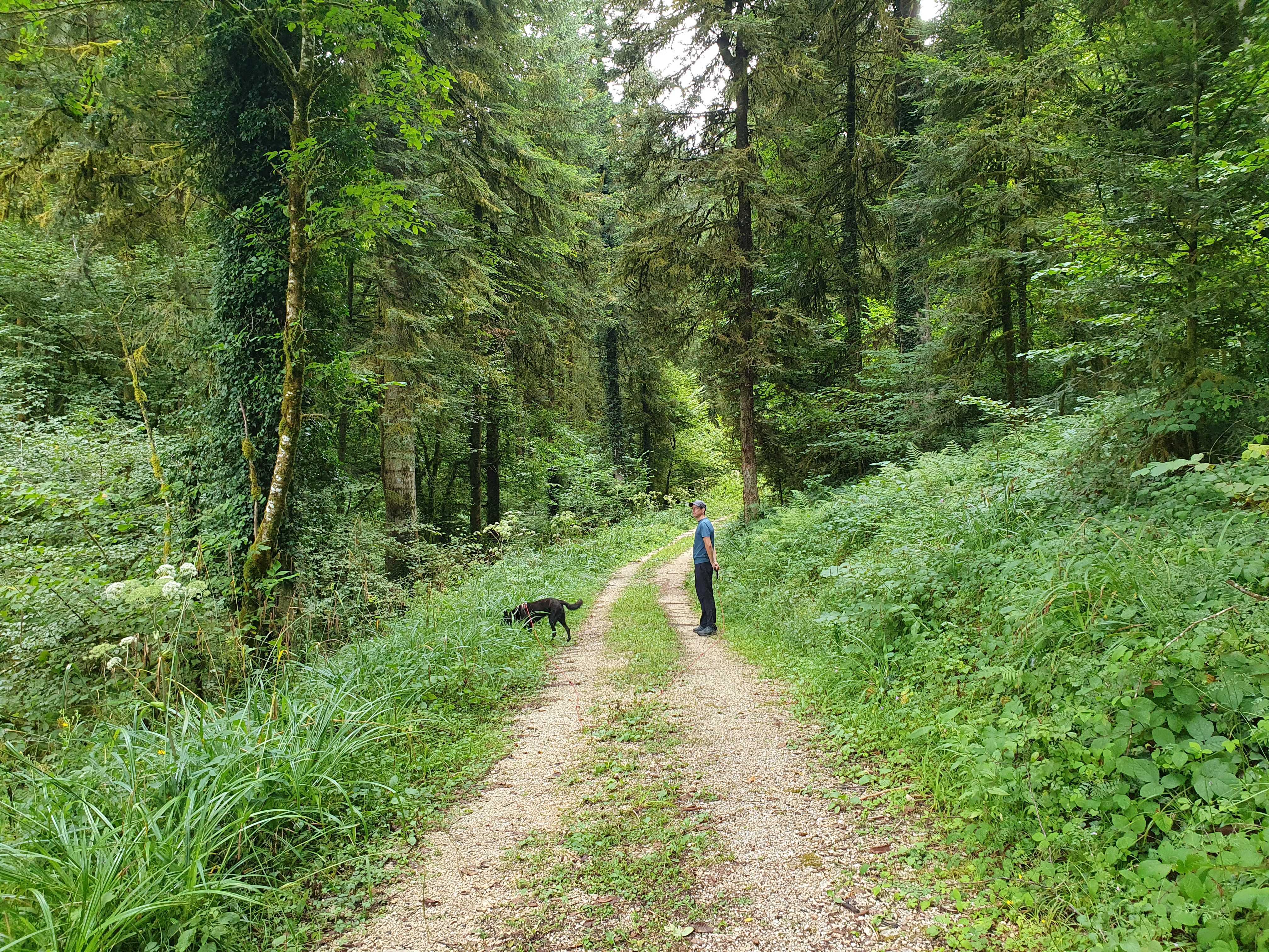 Interview with Pierre Laporte (Part I)